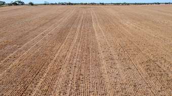 Farm Property for Sale - 376 Claypans Road Copeville SA 5308