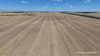 Farm Property for Sale - Lot 1 Baandee North Road North Baandee WA 6412