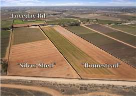 Farm Property for Sale - 121 Elephant Trunk Road Cobdogla SA 5346