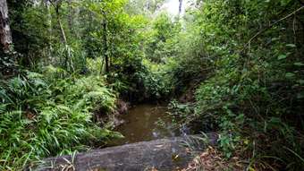 Farm Property for Sale - 506 Tullymorgan-Jacky Bulbin Road Mororo NSW 2469