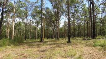 Farm Property for Sale -  Lot 2 of 14 Ravenswood Road Kundabung NSW 2441