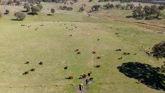 Farm Property for Sale - 5353 Trunkey Road Trunkey Creek NSW 2795