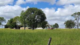 Farm Property for Sale - 30768 Burnett Highway Monto QLD 4630
