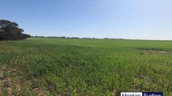 Farm Property for Sale - 1117 Mollerin Rock South Road Lake Margarette WA 6475