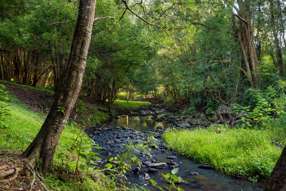 Farm Property for Sale - 23 Ansell Road Witta QLD 4552