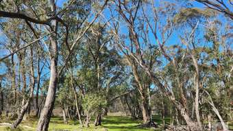 Farm Property for Sale -  Jumping Creek Lane Greenlands NSW 2631