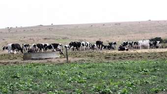 Farm Property for Sale - Port Campbell VIC 3269