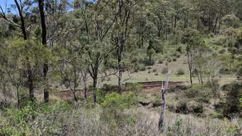 Farm Property for Sale - 220 Cooks Road West Haldon QLD 4359