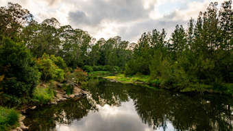 Farm Property for Sale - 1890 Maleny - Kenilworth Road Conondale QLD 4552