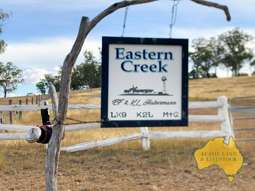 2360 MONTO MOUNT PERRY ROAD Yarrol QLD 4630