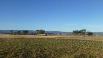 Farm Property for Sale - 228 Jenners Lane Winton NSW 2344