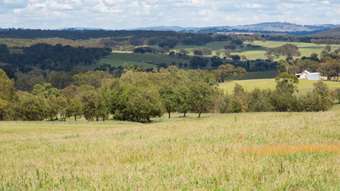 Farm Property for Sale - 148 Scotts Gully Road Tenterfield NSW 2372