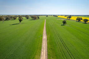 Farm Property for Sale - 383 O'Brien Road Springhurst VIC 3682