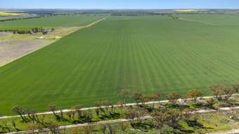 Farm Property for Sale - . &amp;apos;Lydford&amp;apos; and &amp;apos;Lees&amp;apos; Dowerin WA 6461