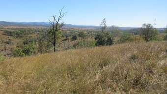 Farm Property for Sale -  Walters Road New Moonta QLD 4671
