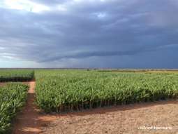 Farm Property for Sale - 121 Mcglades Road North Plantations WA 6701