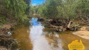 Farm Property for Sale - . Hunters Road Wilkesdale QLD 4608