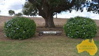 Farm Property for Sale - 850 Morgans Road Windera QLD 4605