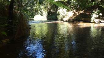 Farm Property for Sale - Camp Creek QLD 4871