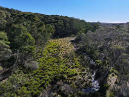 4651 Kings Highway Monga NSW 2622