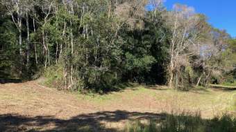 Farm Property for Sale - 250 Martells Road Bellingen NSW 2454