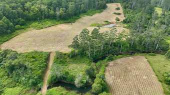 Farm Property for Sale - 300 Dennis Road Mungay Creek NSW 2440