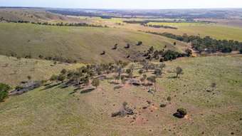 Farm Property for Sale - 181 Old Murray Road Callington SA 5254