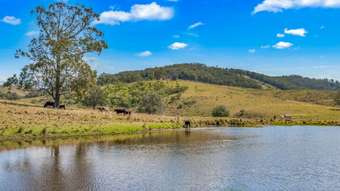 Farm Property for Sale - 449 Glen William Road Glen William NSW 2321