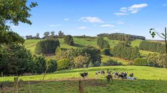 Farm Property for Sale - 48 Bells Road Mount Eccles VIC 3953