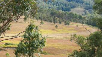 Farm Property for Sale -  Rocky River Road Rocky River NSW 2372