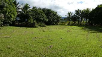 Farm Property for Sale - No 4 Branch QLD 4856