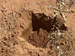 Farm Property for Sale - 23060 Sturt Highway Yamba SA 5340