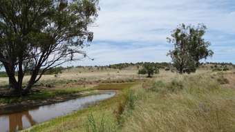 Farm Property for Sale - Lot 120 Stonehenge Road Millmerran QLD 4357