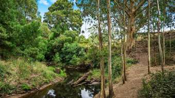 Farm Property for Sale - 55 Daffys Lane Gellibrand VIC 3239