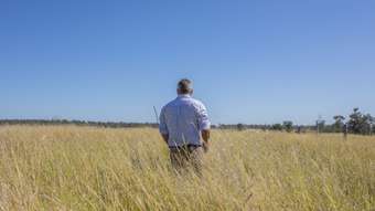 Farm Property for Sale - Greenswamp QLD 4413