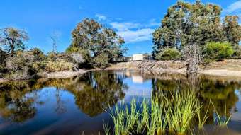 Farm Property for Sale - 41 Buckingham Road Wanerie Gingin WA 6503