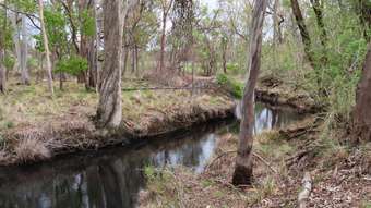 Farm Property for Sale - Lot 1 Wickham Road Thanes Creek QLD 4370