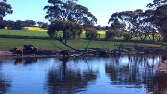 Farm Property for Sale - Toodyay WA 6566