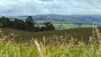 Farm Property for Sale - Dorrigo NSW 2453