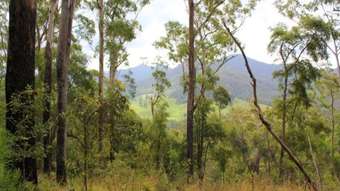 Farm Property for Sale - Lot 95 Kennaicle Road Missabotti NSW 2449