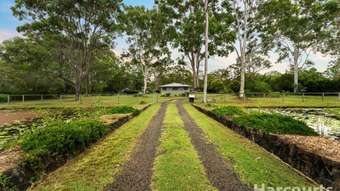 Farm Property for Sale - 7 Rankin Street Howard QLD 4659