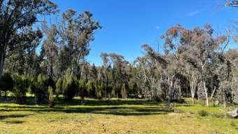 Farm Property for Sale - &amp;apos; Cobb Drive Woodstock NSW 2793