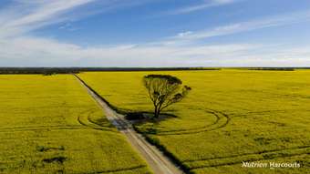 Farm Property for Sale - . Kendall Road Scaddan WA 6447