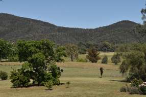 7 Pindari Grove Montefiores via Wellington NSW 2820