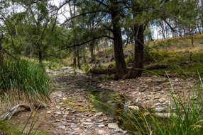  Windeyer Road Mudgee NSW 2850