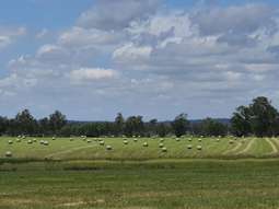 114 A Creek Road, Grosvenor Eidsvold QLD 4627