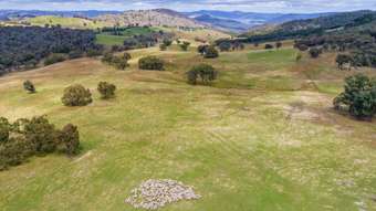 Farm Property for Sale - "Goon Quartpot Road (Roseberg) Woodstock NSW 2793
