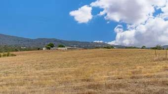 Farm Property for Sale - 22 Twyford Street Harcourt VIC 3453