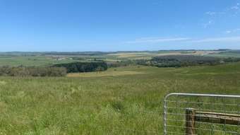Farm Property for Sale -  Guys Road Cooriemungle VIC 3268
