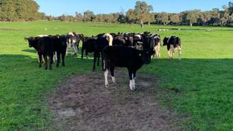 Farm Property for Sale - Enrick Farm, Orton Road Oldbury WA 6121